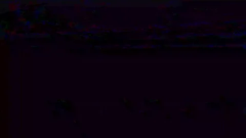 Analog Static Noise texture overlay. Horizontal stripes offset Stock Footage 303295808