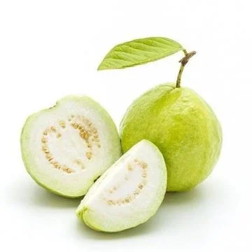Analysis of Antioxidant Content in Guava Fruit (Psidium guajava) Stock Photos