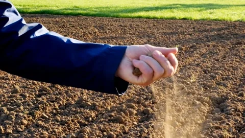 Analysis of  arable land.Spring farm work. Stock Footage 170120568