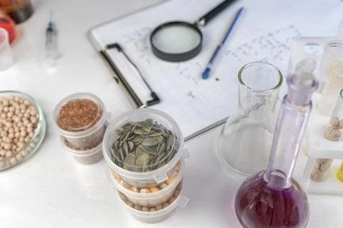 Analysis of cereal and legume seeds in the laboratory. Tests for GMO content, Stock Photos