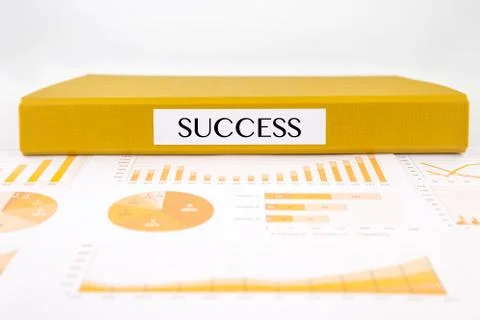 Analysis documents, graphs, charts and business report Stock Photos