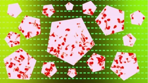 Analysis 動画素材 211079821