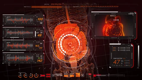 Analysis of Human Anatomy. Digestive organs, skeleton. Stock Footage 145122516