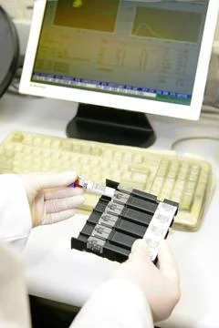  Analysis laboratory Laboratory. Test tubes holder of the hematology autom... Stock Photos
