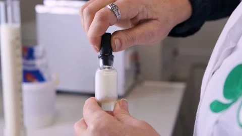 Analysis of milk in the laboratory. close-up of checking milk in the laboratory. Stock Footage 153158424
