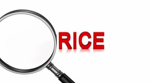 Analysis of Price Stock Footage 33084943