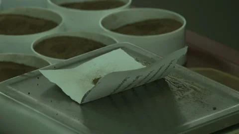Analysis of soil samples in laboratory. Video stock 153815167
