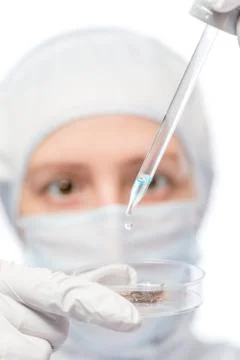 Analysis in a sterile laboratory, tools in the hands of a close-up a labora.. Stock Photos