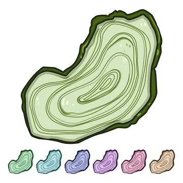 Analysis tree rings cartoon vector graphic Stock Illustration