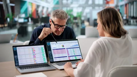 Analyst And Coder Review Spreadsheet Data Carefully. Stock Footage 337225989