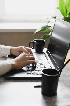 Analyst office work Remote work and education, freelance Stock Photos