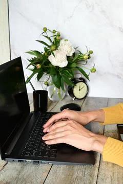 Analyst office work Remote work and education, freelance Stock Photos