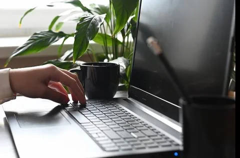 Analyst office work Remote work and education, freelance Stock Photos
