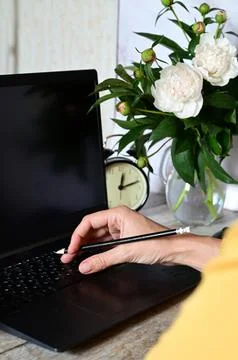Analyst office work Remote work and education, freelance Stock Photos