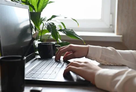 Analyst office work Remote work and education, freelance Stock Photos