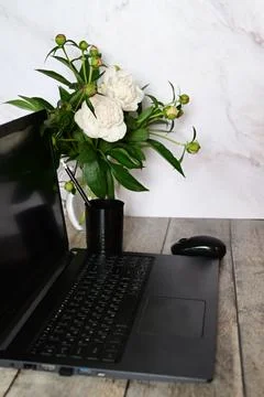 Analyst office work Remote work and education, freelance Stock Photos