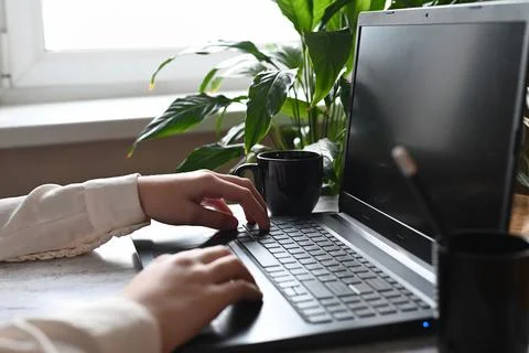 Analyst office work Remote work and education, freelance Stock Photos