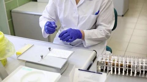 Analyst prepares blood plasma samples for RPR test Stock-Footage 73069103