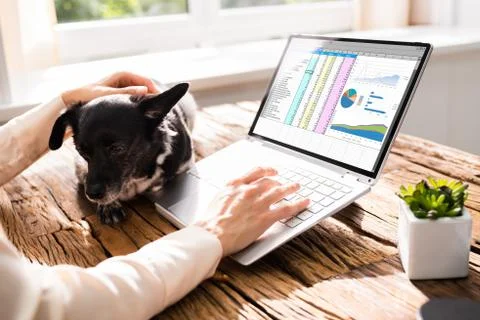 Analyst Woman Working With Spreadsheet Data Stock Photos