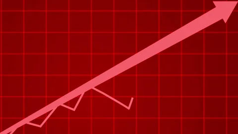 Analytics Dashboard Animation with Business Graphs, Charts, and Trends Видео 315764640