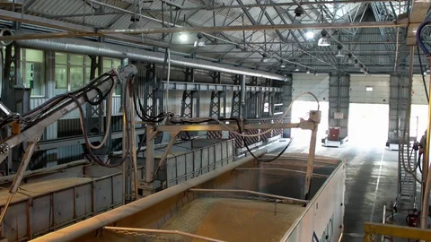 The analyzer checks the grain 库存影片 95728282