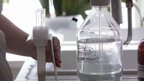 Analyzes of wheat grains Video stock 95721301