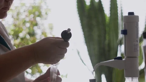 Analyzes of wheat grains Video stock 95721339