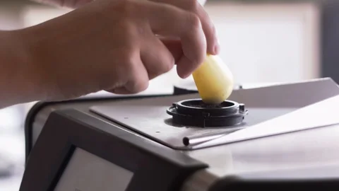 Analyzes of wheat grains Video stock 95721394