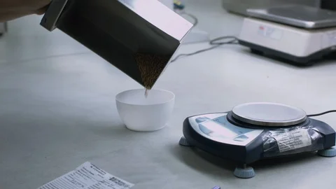 Analyzes of wheat grains Video stock 95721656