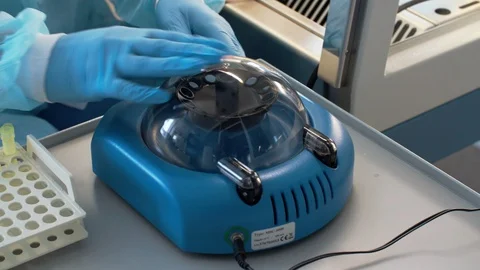 Analyzes of wheat grains Video stock 95722176