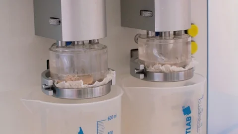 Analyzes of wheat grains Video stock 95728474