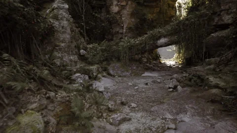 Analyzing barren dry riverbed amid scattered tree cover and harsh environment Stock Footage 340339853