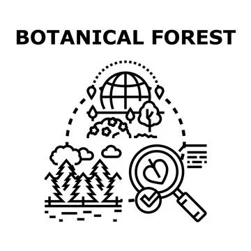 Analyzing biodiversity and ecosystems for botanical research Stock Illustration