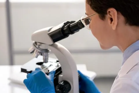 Analyzing cell structure via microscope Stock Photos
