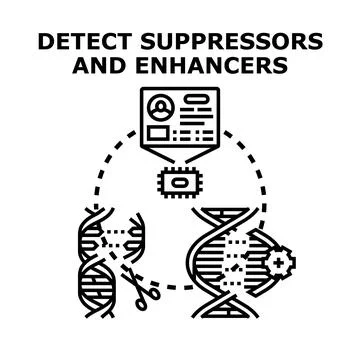 Analyzing dna structure detecting genetic suppressors and enhancers Stock Illustration