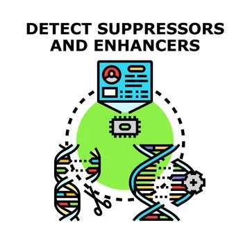 Analyzing dna structure detecting genetic suppressors and enhancers Stock Illustration