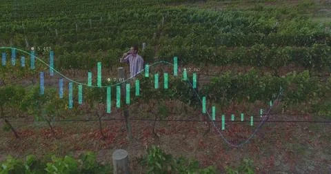 Analyzing financial data image over person in vineyard Illustrazione stock
