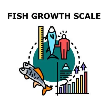 Analyzing fish development and growth scale data Stock Illustration