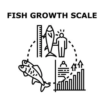 Analyzing fish development and growth scale data Stock Illustration
