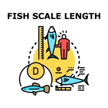 Analyzing fish length and scale for scientific research Stock Illustration