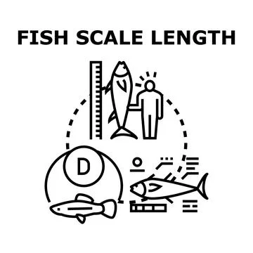 Analyzing fish length and scale for scientific research イラスト素材