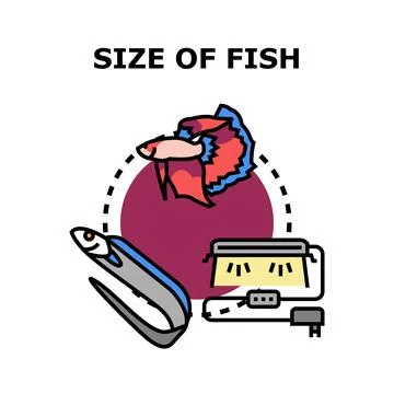 Analyzing fish size and aquarium equipment for aquatic life Stock Illustration