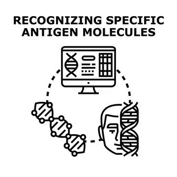 Analyzing genetic data for antigen molecule recognition Stock Illustration