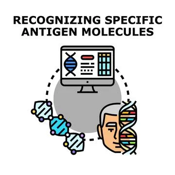 Analyzing genetic data for antigen molecule recognition イラスト素材