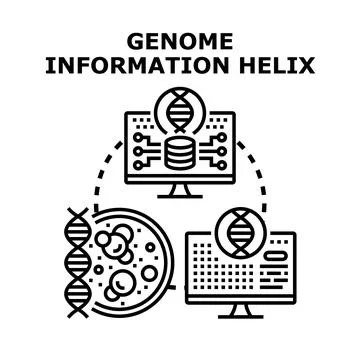 Analyzing genetic information for science and research 스톡 일러스트