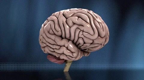 Analyzing the human brain dynamic loop blue HD 库存影片 49457336