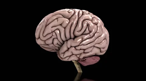 Analyzing the human brain slow loop black HD 库存影片 49456136