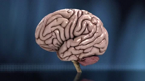 Analyzing the human brain slow loop blue 4K 库存影片 49456463