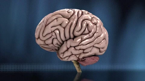 Analyzing the human brain slow loop blue HD 库存影片 49456578