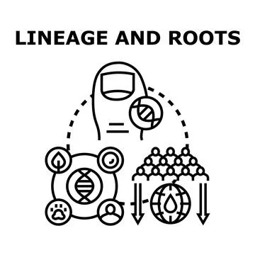 Analyzing human lineage, genetics, and global ancestry roots Stock Illustration
